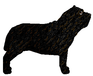 SWSK's High Tech and Low Life — “Teknik”