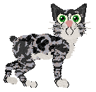 Profile image of Arrow's Blockhead Grande