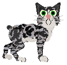 Arrow's Blockhead Grande — “Riku”