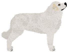 Profile image of Aura's Death or Glory