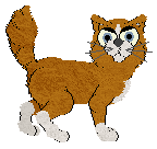 Shipwreck/Patchwork's Splashing Waters — “Alola”