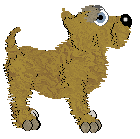 Mockingbird/APK's Lights Camera Action — “Cameo”