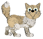 Profile image of FDL's Me & My True Love Will Never Meet Again