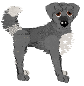 Sz Words of Radiance — “Radiant”