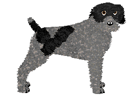 Profile image of Damage Inc. NAVICULAR