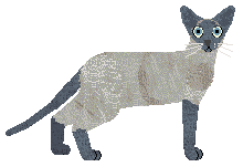 Raposa Vital Force — “Manas”