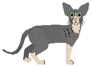 Raposa Foreign Physics — “Musa”