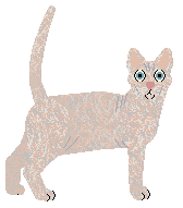 Airship Naked And Afraid — “Discovery Channel”