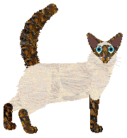 Azalea Gran Turismo Spider — “GTS”