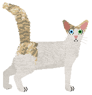 Solar What A Jinx — “Jinx”