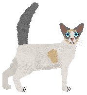 Cymophane O P Anderson — “Akvavit”