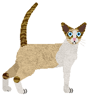 Cymophane Ramazzotti Fernet — “Fernet”