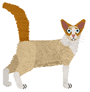 Cymophane Buckthorn Honey Wine — “Tej”