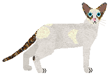 Cymophane Global Status Report — “Waragi”