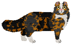 Cymophane Stella Artois — “Stella”