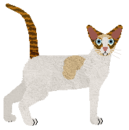 Cymophane Kiken an Aneki — “Shochu”