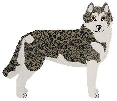 Profile image of Damage Inc. HUNTERS OF DUNE