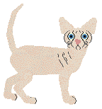 Firefly's No Dairy Required — “Almond”