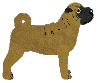 Energizing MISS AMERICA — “Dakota”