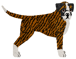 Profile image of Energizing I COULD WAKE UP WITH AMNESIA