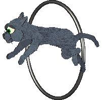 Loveshack Free Internet — “Wifi”