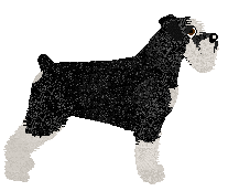 Cargo's Grasping at Infinity — “Will”