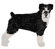 Profile image of Cargo's Grasping at Infinity