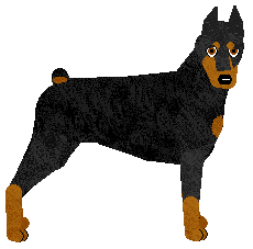 Profile image of Energizing HOOP AND SIUUP