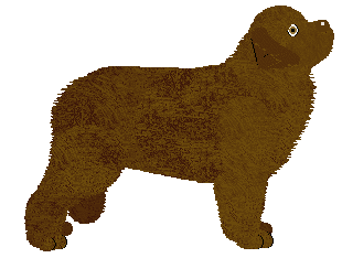 Energizing CHOCOLATE? ALWAYS! — “Jamajka”