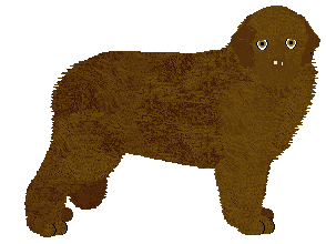 Profile image of Energizing CHOCOLATE? ALWAYS!