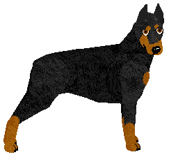 Profile image of Energizing NIFF MAFIA