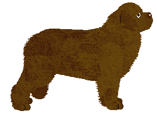 Energizing Caramel Mocha — “Mocha”