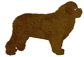 Energizing LET MY HEART GONE — “Pedro”