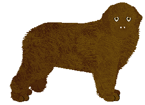 Profile image of Energizing LET MY HEART GONE