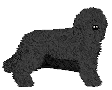 Profile image of Energizing POLSKI TRIUMF