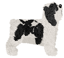 Polka Czarodziej — “Czarek”