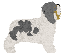 Polka Dom Wschodzącego Słońca — “Kazik”