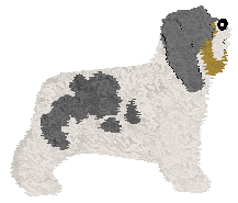 Polka Dom Wschodzącego Słońca — “Kazik”