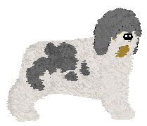 Profile image of Polka Dom Wschodzącego Słońca