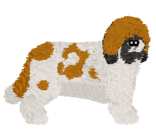 Profile image of Polka Marysieńka