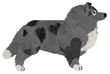 Energizing Lemon Cake — “Cookie”