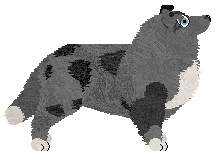 Energizing Lemon Cake — “Cookie”