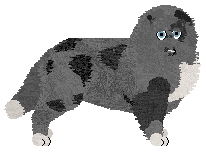 Profile image of Energizing Lemon Cake