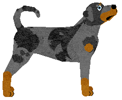 Energizing NINJA WARRIOR — “Ninja”