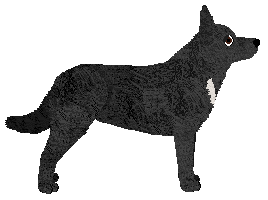 Oakwood's Whisky — “Wendy”