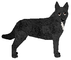 Profile image of Oakwood's Whisky