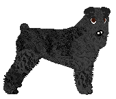 Profile image of Bearded Force Panienka Z Okienka