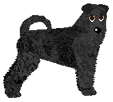 Bearded Force Disco Polo — “Jack”