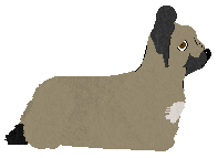 Energizing Long Walk Home — “Olek”