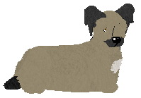 Profile image of Energizing Long Walk Home